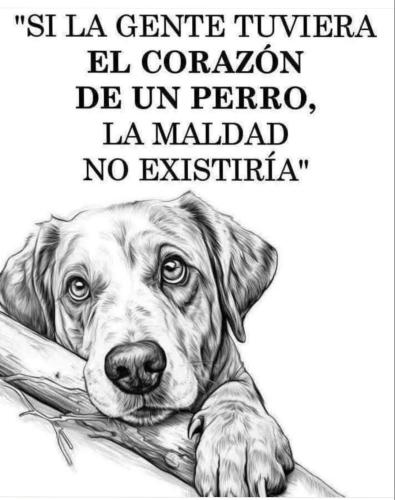 FB_IMG_1753281619734