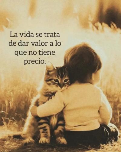 FB_IMG_1754005408754
