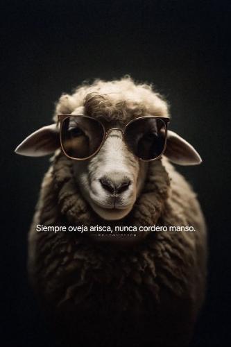 FB_IMG_1753663656378
