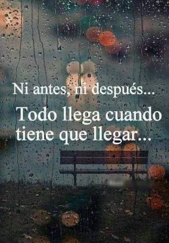 FB_IMG_1752440565440