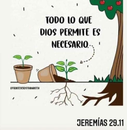 FB_IMG_1753244391062