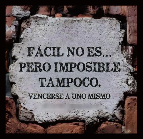 FB_IMG_1753337712528