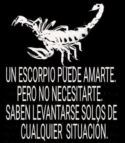FB_IMG_1753416092799