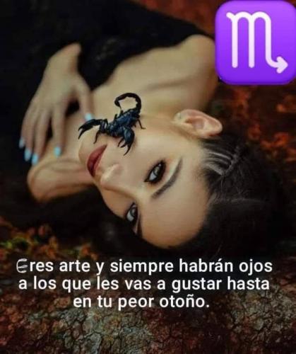 FB_IMG_1752615509522