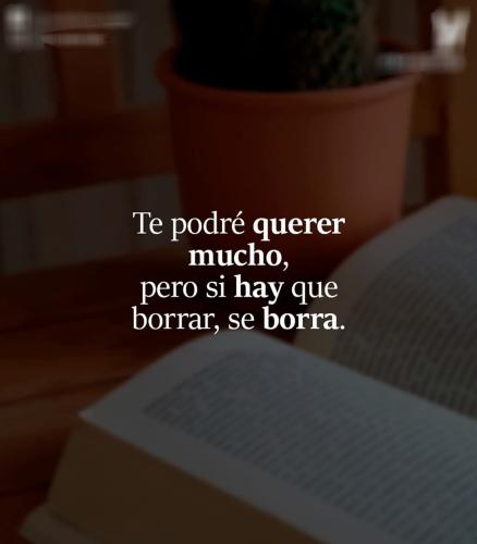 FB_IMG_1753147790590