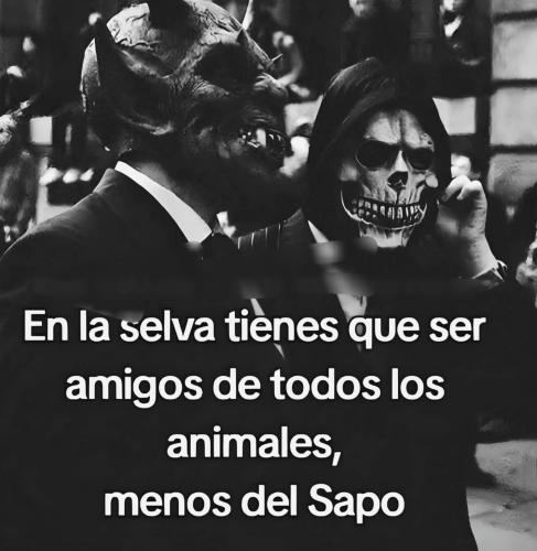 FB_IMG_1752793003763
