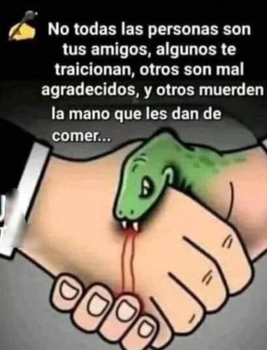 FB_IMG_1751936118505