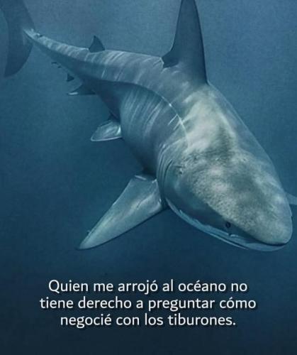 FB_IMG_1752367132474