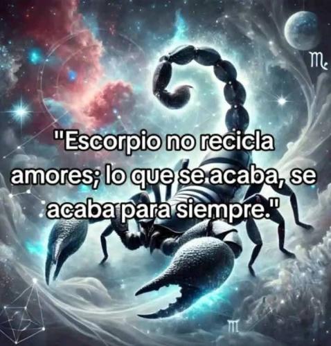 FB_IMG_1753141092759