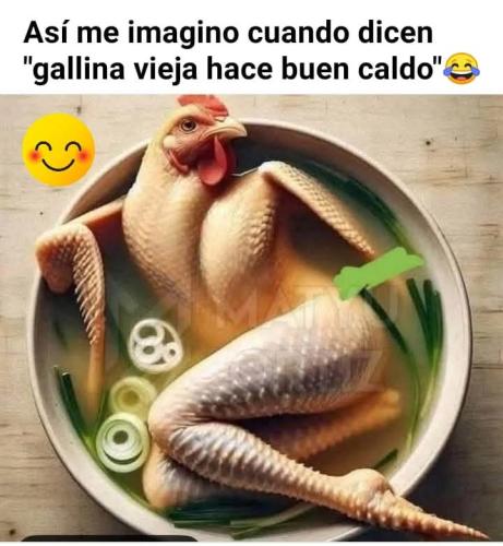 FB_IMG_1751692707501