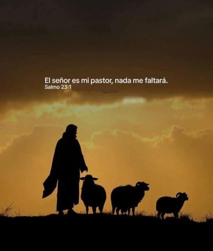 FB_IMG_1752720841048