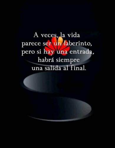 FB_IMG_1754273314378