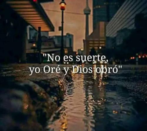 FB_IMG_1754337065727