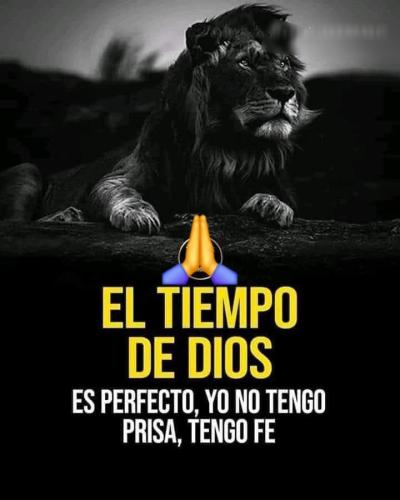 FB_IMG_1754437466228