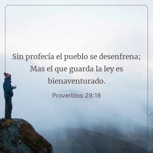 FB_IMG_1754438086863