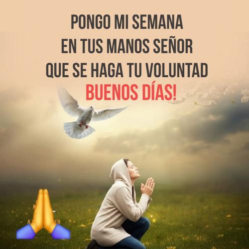FB_IMG_1754338779059