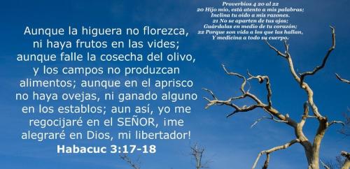 habacuc