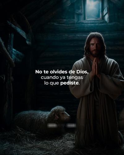 FB_IMG_1754967949729