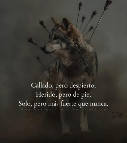 FB_IMG_1754107729713