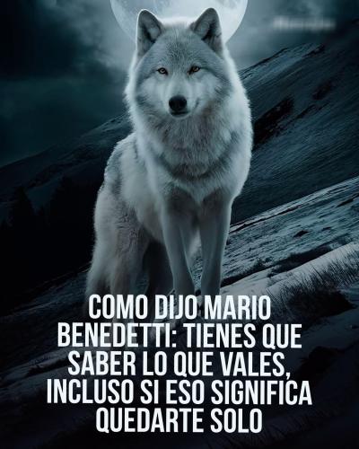 FB_IMG_1754085728242