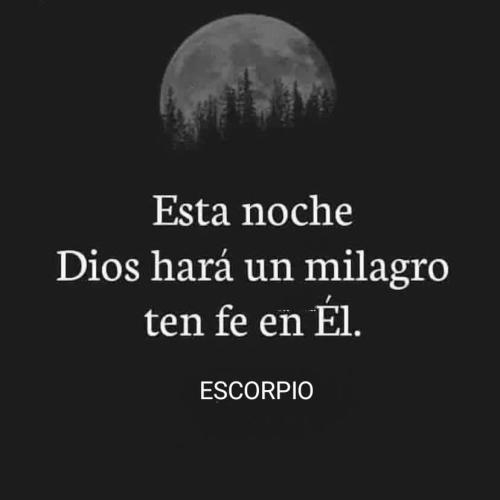 FB_IMG_1754535922335