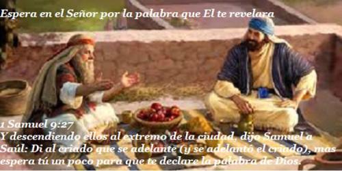 CUMPLE TU MINISTERIO