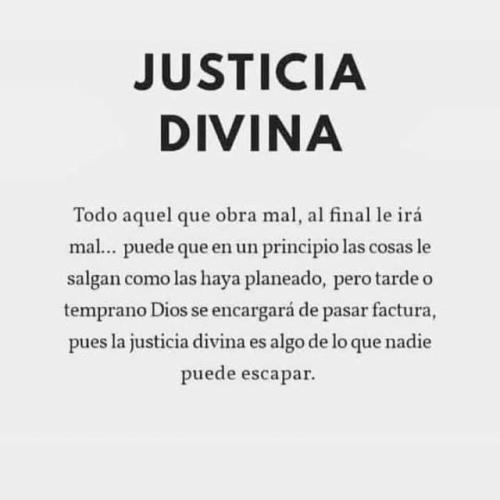 FB_IMG_1755050180373