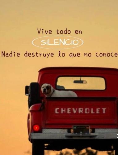 FB_IMG_1755667091375