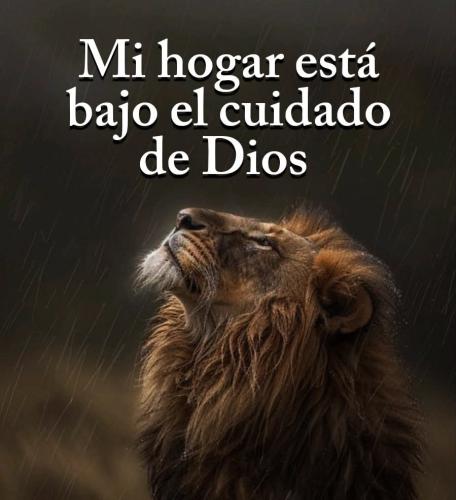 FB_IMG_1755044710135