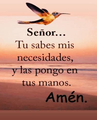 FB_IMG_1756688042593