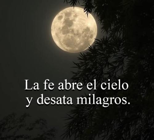 FB_IMG_1758427045952