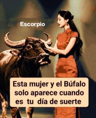 FB_IMG_1758346952452