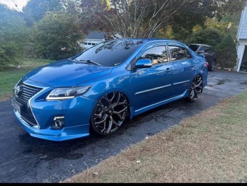 FB_IMG_1761440419074