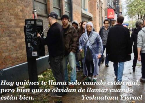 llaman