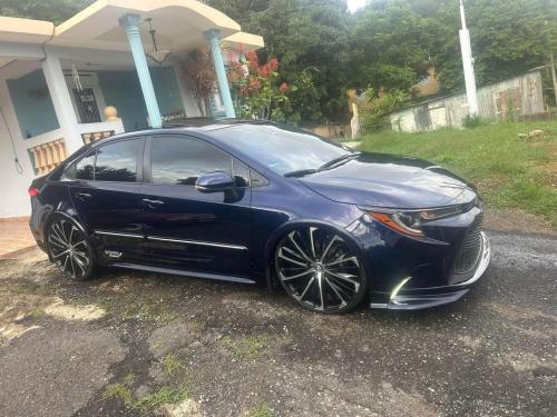 FB_IMG_1761618529902