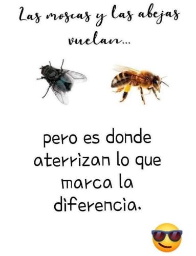 FB_IMG_1762140304707