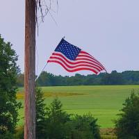 American Patriot