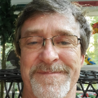 Mark Curtis
