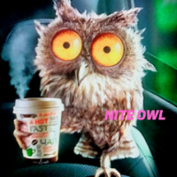 Nite Owl