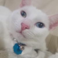 Eric