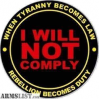 Dailyinsanity2020