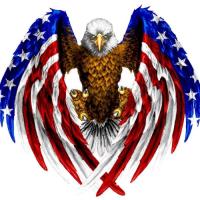 Freedom365